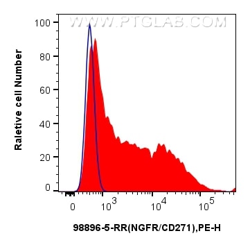FC experiment of SK-N-SH using 98896-5-RR Flow cytometry (FC) experiment of SK-N-SH cells using Anti-Human NGFR/TNFRSF16 Rabbit Recombinant Antibo (98896-5-RR)