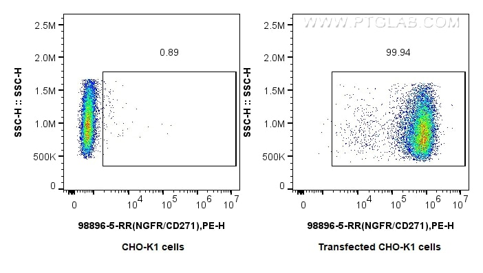 FC experiment of Transfected CHO-K1 using 98896-5-RR Flow cytometry (FC) experiment of Transfected CHO-K1 using Anti-Human NGFR/TNFRSF16 Rabbit Recombinant Antibo (98896-5-RR)