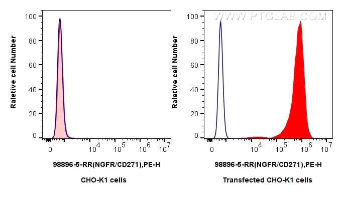 FC experiment of Transfected CHO-K1 using 98896-5-RR Flow cytometry (FC) experiment of Transfected CHO-K1 using Anti-Human NGFR/TNFRSF16 Rabbit Recombinant Antibo (98896-5-RR)