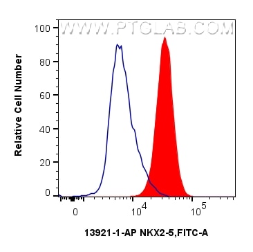 FC experiment of HepG2 using 13921-1-AP Flow cytometry (FC) experiment of HepG2 cells using NKX2-5 Polyclonal antibody (13921-1-AP)