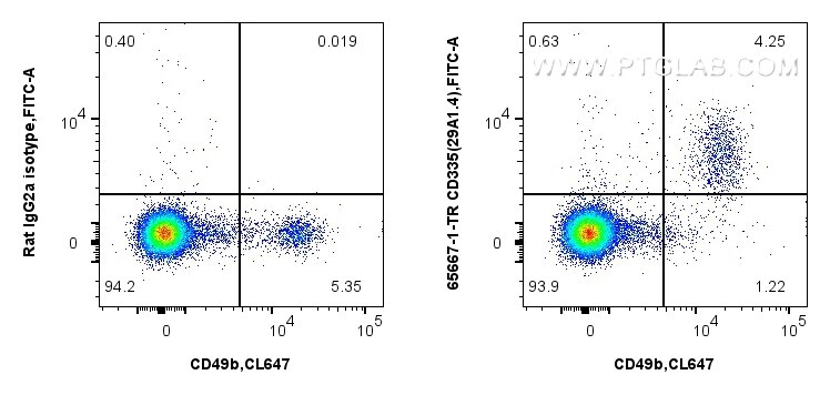 FC experiment of mouse splenocytes using 65667-1-TR Flow cytometry (FC) experiment of mouse splenocytes using Anti-Mouse NKp46/NCR1 (29A1.4) Rat IgG2a Recombina (65667-1-TR)