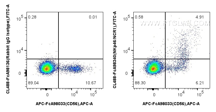 FC experiment of human PBMCs using CL488-FcA98340 Flow cytometry (FC) experiment of human PBMCs using FcZero-rAb™ CoraLite® Plus 488 Anti-Human NKp46/NC (CL488-FcA98340)