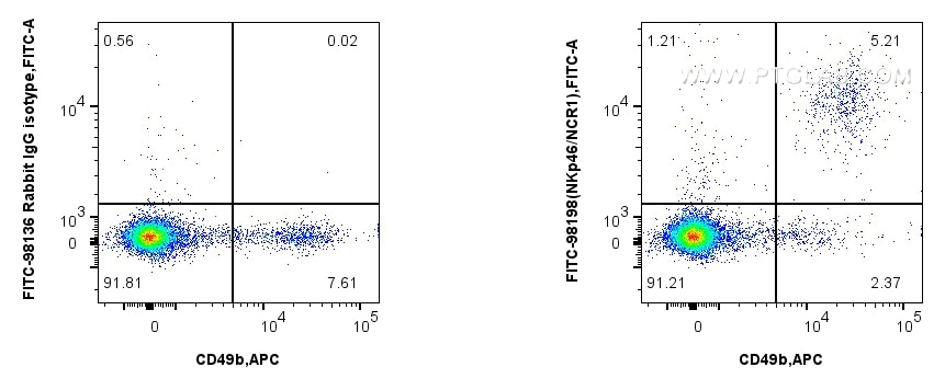 Flow cytometry (FC) experiment of mouse splenocytes using FITC Plus Anti-Mouse NKp46/NCR1 Rabbit Recombinant (FITC-98198)