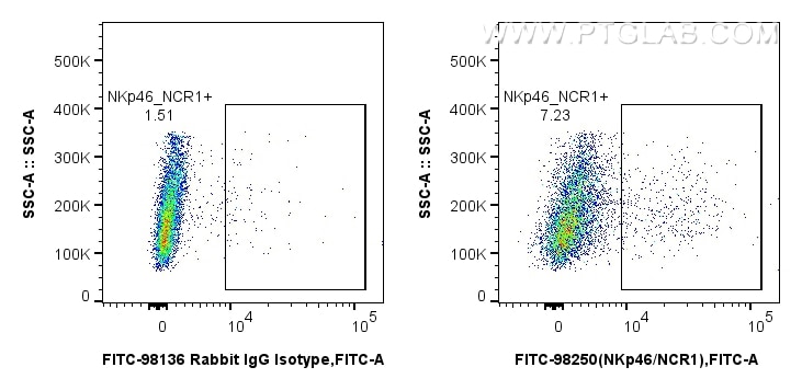 FC experiment of rat splenocytes using FITC-98250 Flow cytometry (FC) experiment of rat splenocytes cells using FITC Plus Anti-Rat NKp46/NCR1 Rabbit Recombinant A (FITC-98250)