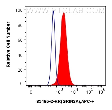 Flow cytometry (FC) experiment of U-251 cells using NMDAR2A/GRIN2A Recombinant antibody (83465-2-RR)