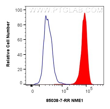 Flow cytometry (FC) experiment of HepG2 cells using NME1 Recombinant antibody (85038-7-RR)