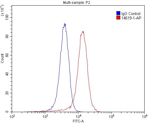 FC experiment of SH-SY5Y using 14619-1-AP