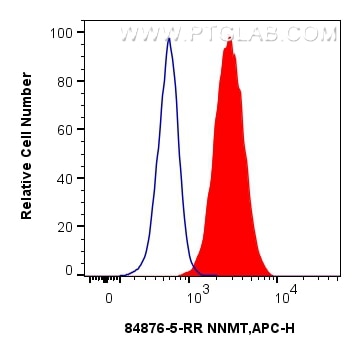 Flow cytometry (FC) experiment of HepG2 cells using NNMT Recombinant antibody (84876-5-RR)