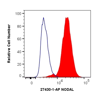 Flow cytometry (FC) experiment of HEK-293T cells using NODAL Polyclonal antibody (27430-1-AP)