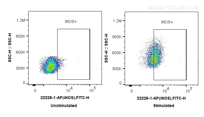 Flow cytometry (FC) experiment of RAW 264.7 cells using iNOS Polyclonal antibody (22226-1-AP)