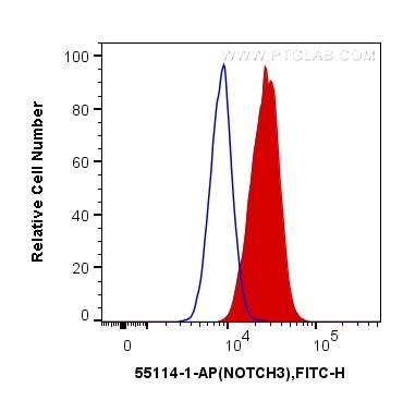 Flow cytometry (FC) experiment of Jurkat cells using NOTCH3 Polyclonal antibody (55114-1-AP)