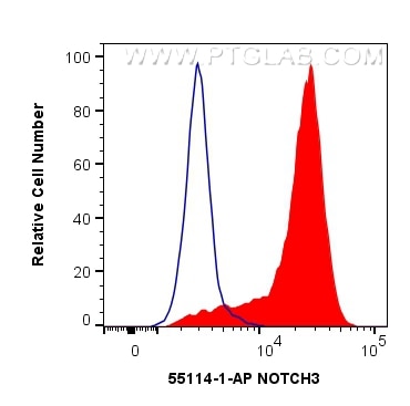 Flow cytometry (FC) experiment of Jurkat cells using NOTCH3 Polyclonal antibody (55114-1-AP)