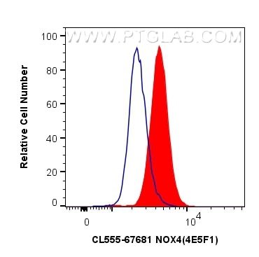 Flow cytometry (FC) experiment of HeLa cells using CoraLite®555-conjugated NOX4 Monoclonal antibody (CL555-67681)