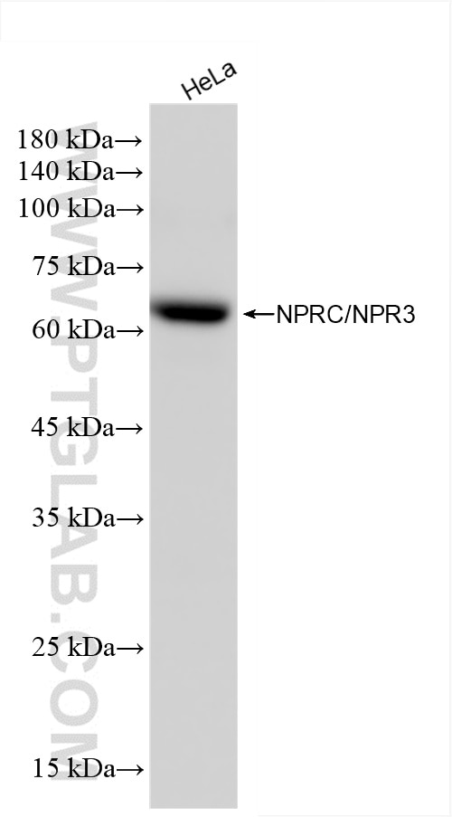NPRC/NPR3