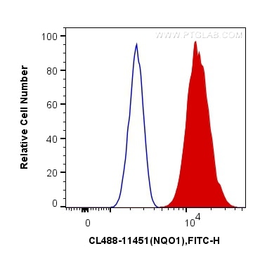 Flow cytometry (FC) experiment of MCF-7 cells using CoraLite® Plus 488-conjugated NQO1 Polyclonal anti (CL488-11451)