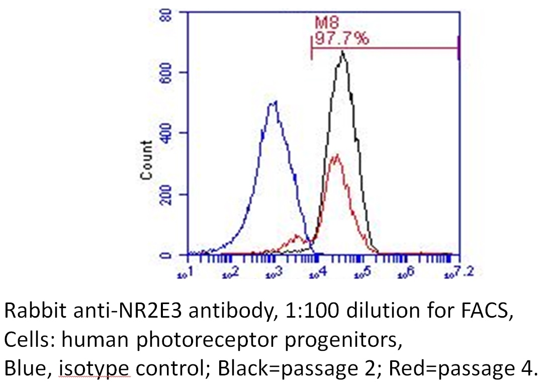 Flow cytometry (FC) experiment of photoreceptor progenitor cells using NR2E3 Polyclonal antibody (14246-1-AP)