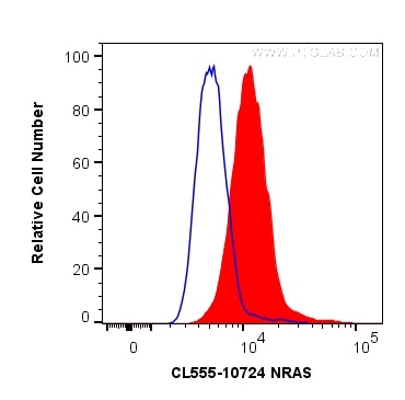 Flow cytometry (FC) experiment of A431 cells using CoraLite® Plus 555-conjugated NRAS Polyclonal anti (CL555-10724)
