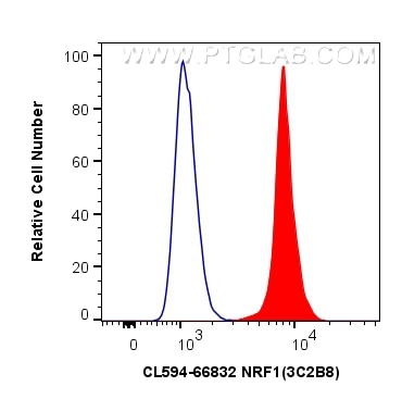 Flow cytometry (FC) experiment of HepG2 cells using CoraLite®594-conjugated NRF1 Monoclonal antibody (CL594-66832)