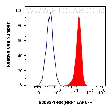 FC experiment of HEK-293T using 83092-1-RR