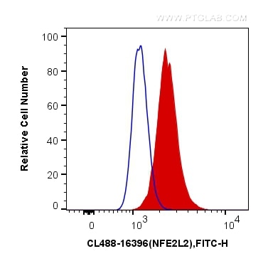 Flow cytometry (FC) experiment of MCF-7 cells using CoraLite® Plus 488-conjugated NRF2, NFE2L2 Polyclo (CL488-16396)