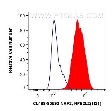 Flow cytometry (FC) experiment of MCF-7 cells using CoraLite® Plus 488-conjugated NRF2, NFE2L2 Recombi (CL488-80593)