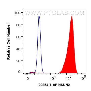 Flow cytometry (FC) experiment of HeLa cells using NSUN2 Polyclonal antibody (20854-1-AP)