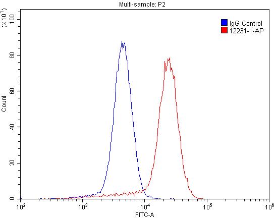 Flow cytometry (FC) experiment of NCCIT cells using NT5E/CD73 Polyclonal antibody (12231-1-AP)