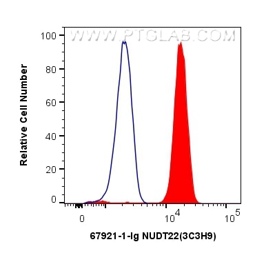 Flow cytometry (FC) experiment of Jurkat cells using NUDT22 Monoclonal antibody (67921-1-Ig)