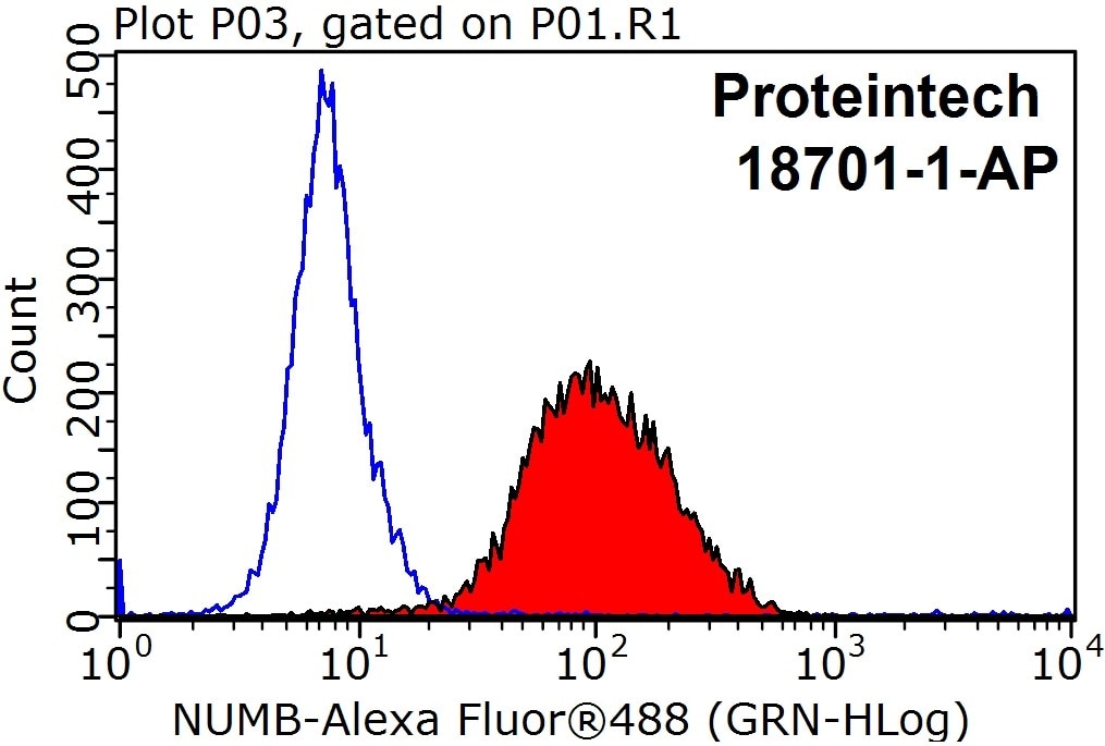 Flow cytometry (FC) experiment of HepG2 cells using NUMB Polyclonal antibody (18701-1-AP)