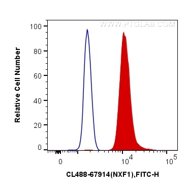 Flow cytometry (FC) experiment of HEK-293 cells using CoraLite® Plus 488-conjugated NXF1 Monoclonal anti (CL488-67914)