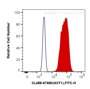 Flow cytometry (FC) experiment of HeLa cells using CoraLite® Plus 488-conjugated NXT1 Monoclonal anti (CL488-67680)