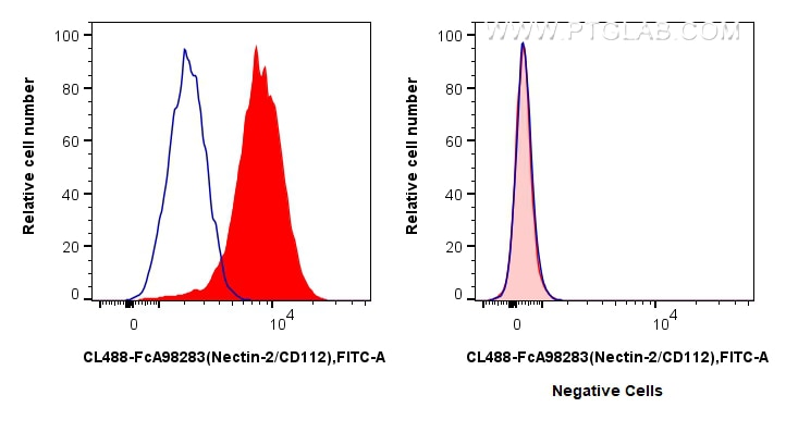 FC experiment of K-562 using CL488-FcA98283 Flow cytometry (FC) experiment of K-562 cells using FcZero-rAb® CoraLite® Plus 488 Anti-Human Nectin-2 (CL488-FcA98283)