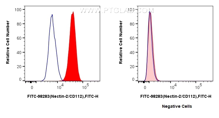 1x10^6 K-562 cells (left) or Daudi cells (right) were surface stained with 5 ul FITC Plus Anti-Human Nectin-2/CD112 Rabbit RecAb (FITC-98283, Clone: 241725D3) (red), or FITC Plus Rabbit IgG Isotype Control RecAb (FITC-98136, Clone: 240953C9) (blue). Cells were not fixed. Flow cytometry (FC) experiment of K-562 cells using FITC Plus Anti-Human Nectin-2/CD112 Rabbit Recombi (FITC-98283)