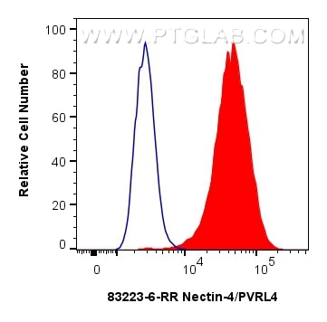 Nectin-4/PVRL4