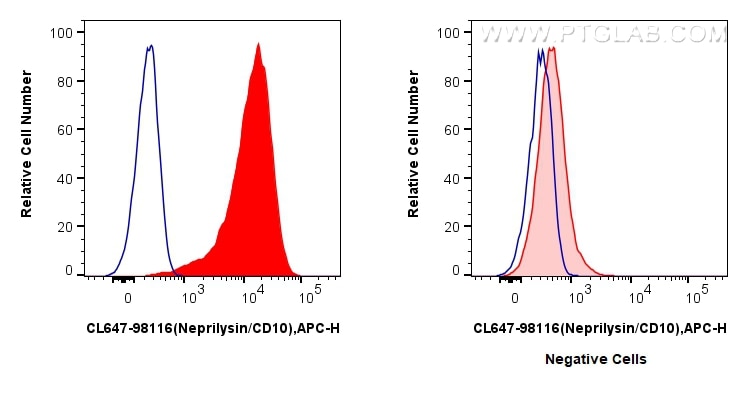FC experiment of Reh using CL647-98116 Flow cytometry (FC) experiment of Reh cells using CoraLite® Plus 647 Anti-Human Neprilysin/CD10 Rabb (CL647-98116)