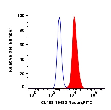 Flow cytometry (FC) experiment of neuronal cells derived from human dental pulp stem using CoraLite® Plus 488-conjugated Nestin Polyclonal an (CL488-19483)