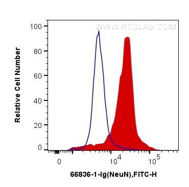 Flow cytometry (FC) experiment of SH-SY5Y cells using NeuN Monoclonal antibody (66836-1-Ig)