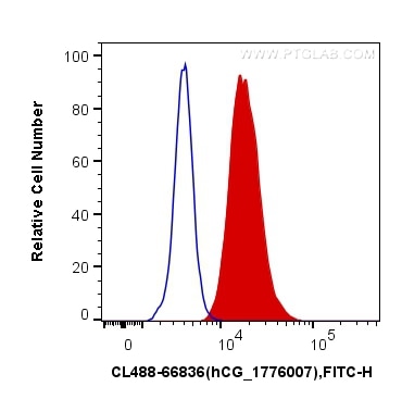Flow cytometry (FC) experiment of U-87 MG cells using CoraLite®488-conjugated NeuN Monoclonal antibody (CL488-66836)