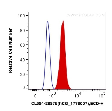 Flow cytometry (FC) experiment of U-87 MG cells using CoraLite®594-conjugated NeuN Polyclonal antibody (CL594-26975)