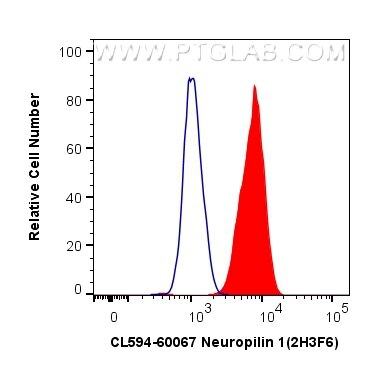 Flow cytometry (FC) experiment of SH-SY5Y cells using CoraLite®594-conjugated Neuropilin 1 Monoclonal an (CL594-60067)