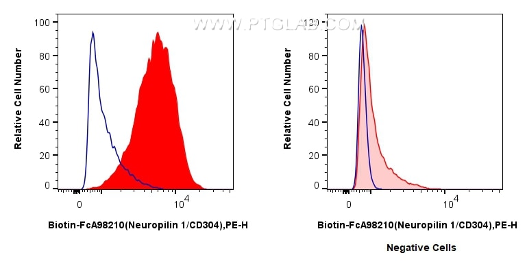 FC experiment of HUVEC using Biotin-FcA98210 Flow cytometry (FC) experiment of HUVEC cells using FcZero-rAb® Biotin Anti-Human Neuropilin 1/CD304 R (Biotin-FcA98210)