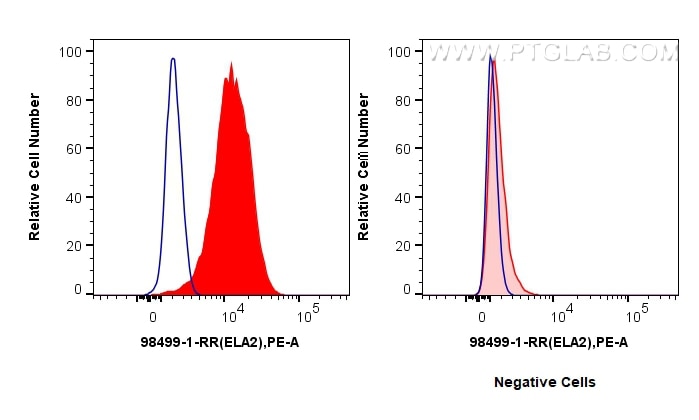 FC experiment of U-937 using 98499-1-RR (same clone as 98499-1-PBS) Flow cytometry (FC) experiment of U-937 cells using Anti-Human Neutrophil Elastase Rabbit Recombinant (98499-1-RR)