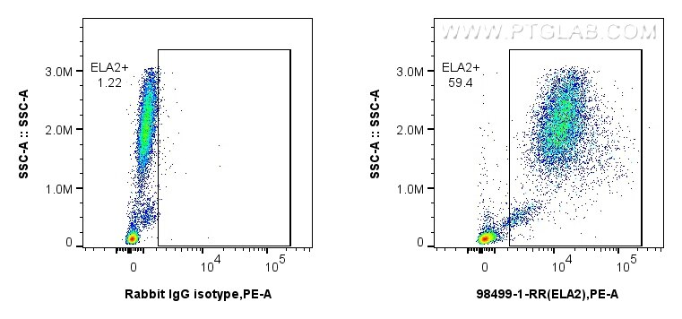 FC experiment of human peripheral blood leukocytes using 98499-1-RR (same clone as 98499-1-PBS) Flow cytometry (FC) experiment of human peripheral blood leukocytes using Anti-Human Neutrophil Elastase Rabbit Recombinant (98499-1-RR)