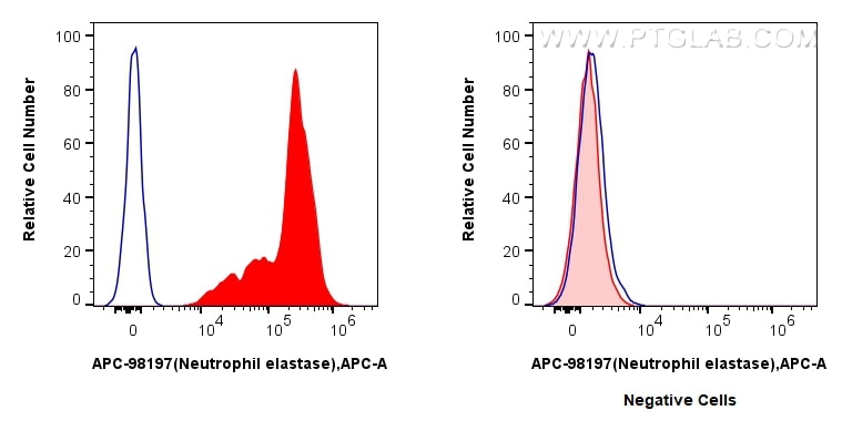 FC experiment of mouse bone marrow cells using APC-98197 Flow cytometry (FC) experiment of mouse bone marrow cells using APC Anti-Mouse Neutrophil Elastase Rabbit Recombin (APC-98197)