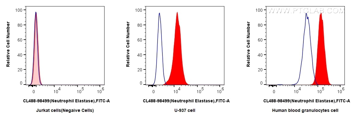 FC experiment of human blood granulocytes using CL488-98499 Flow cytometry (FC) experiment of human blood granulocytes using CoraLite® Plus 488 Anti-Human Neutrophil Elastase (CL488-98499)