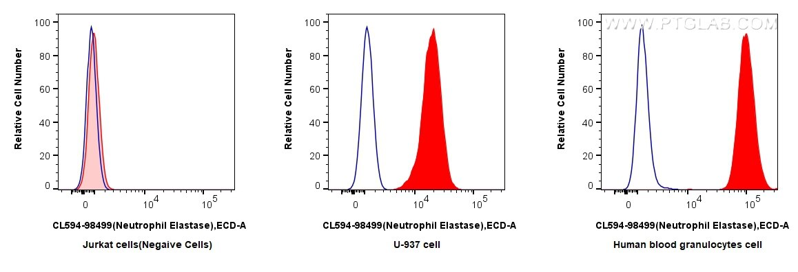 FC experiment of human blood granulocytes using CL594-98499 Flow cytometry (FC) experiment of human blood granulocytes using CoraLite®594 Anti-Human Neutrophil Elastase Rabbit (CL594-98499)