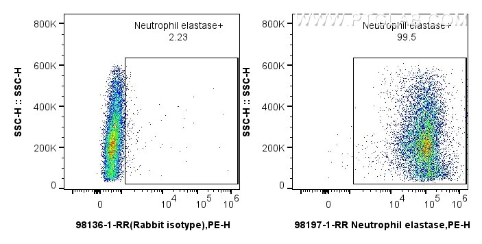 Flow cytometry (FC) experiment of mouse bone marrow cells using Anti-Mouse Neutrophil elastase Rabbit Recombinant  (98197-1-RR)