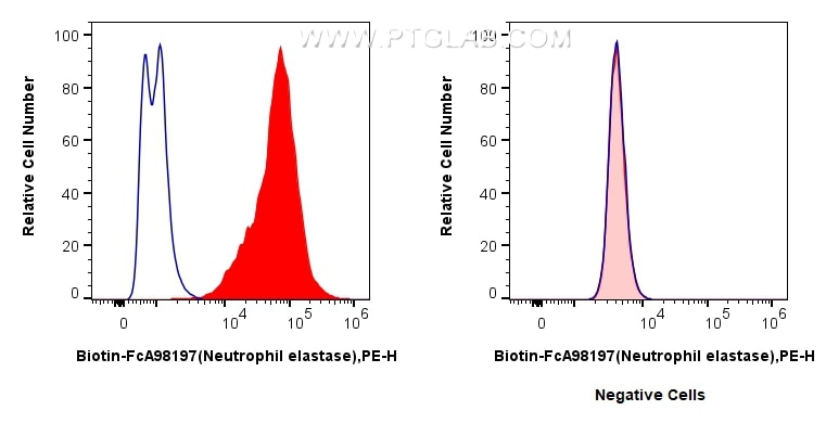 Flow cytometry (FC) experiment of mouse bone marrow cells using FcZero-rAb™ Biotin Anti-Mouse Neutrophil elastase  (Biotin-FcA98197)