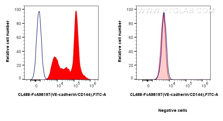 FC experiment of mouse bone marrow cells using CL488-FcA98197 Flow cytometry (FC) experiment of mouse bone marrow cells using FcZero-rAb® CoraLite® Plus 488 Anti-Mouse Neutroph (CL488-FcA98197)