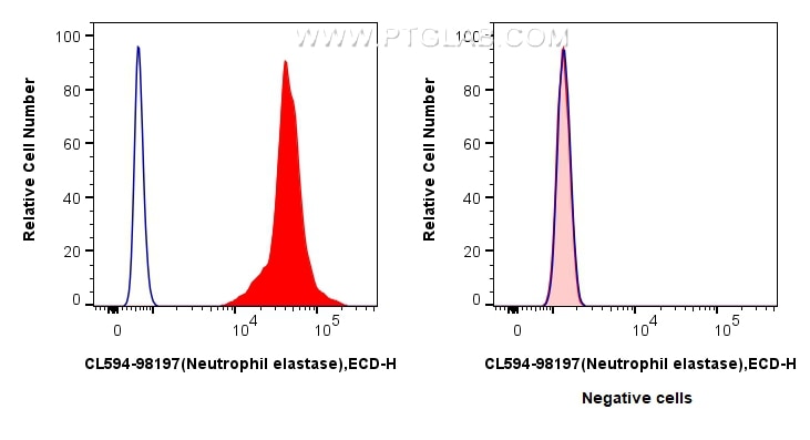 Flow cytometry (FC) experiment of mouse bone marrow cells using CoraLite®594 Anti-Mouse Neutrophil elastase Rabbit (CL594-98197)